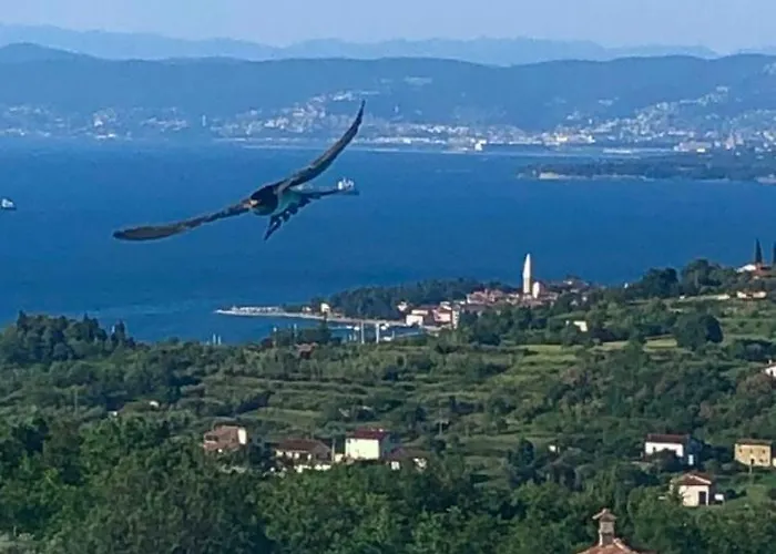 Apartmán Apartmaji Meli Pu Izola